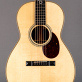 Santa Cruz 00 Eric Skye Cocobolo Adirondack One-Off (2024) Detailphoto 1